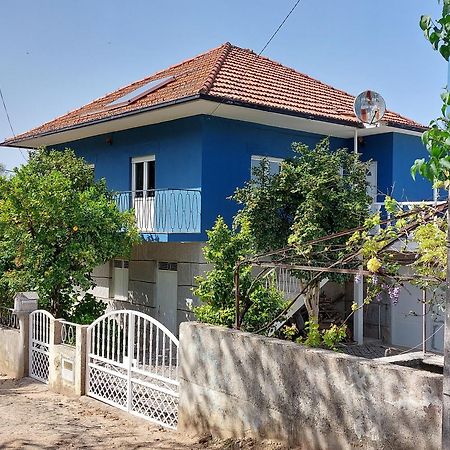 Вилла Casa Azul Vales Пеналва-ду-Каштелу Экстерьер фото