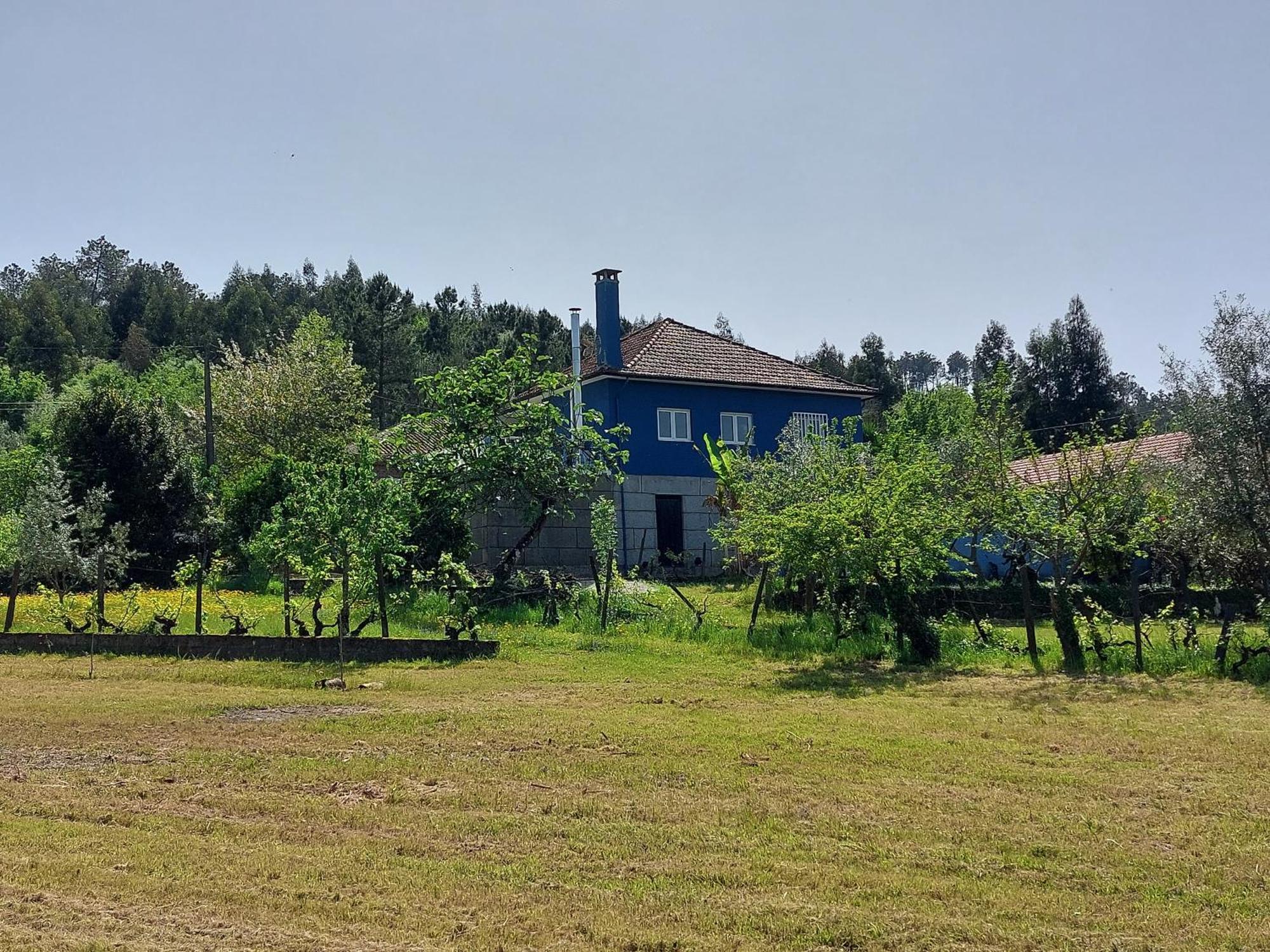 Вилла Casa Azul Vales Пеналва-ду-Каштелу Экстерьер фото